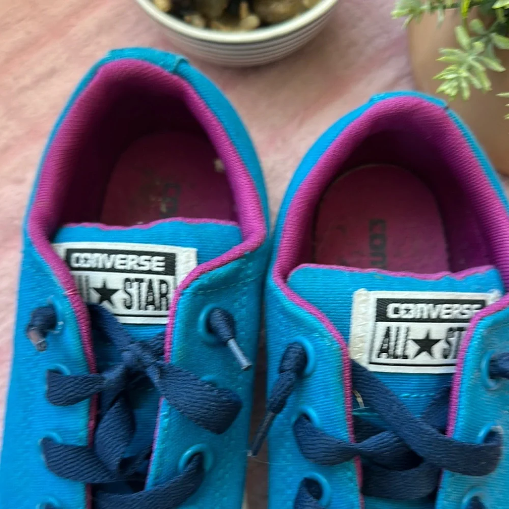 Converse Blue and Purple‎ Sneakers Classic Canvas Style